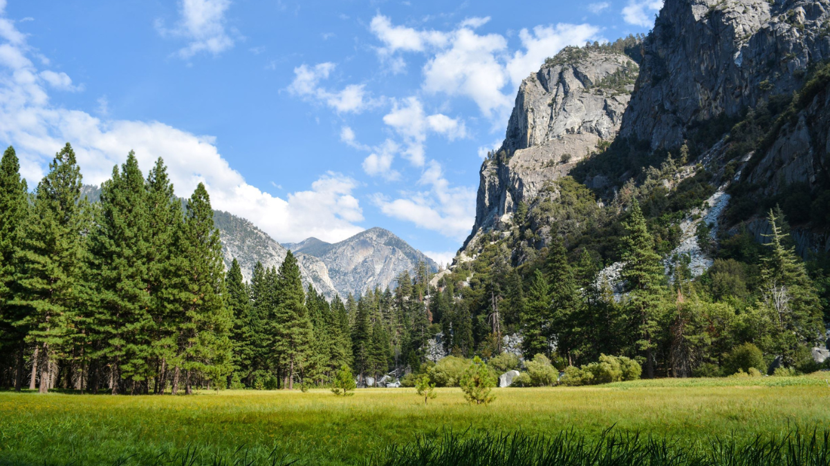 Kings Canyon National Park Travel Guide, Kings Canyon Travel Guide, Kings Canyon National Park Guide, Kings Canyon Guide