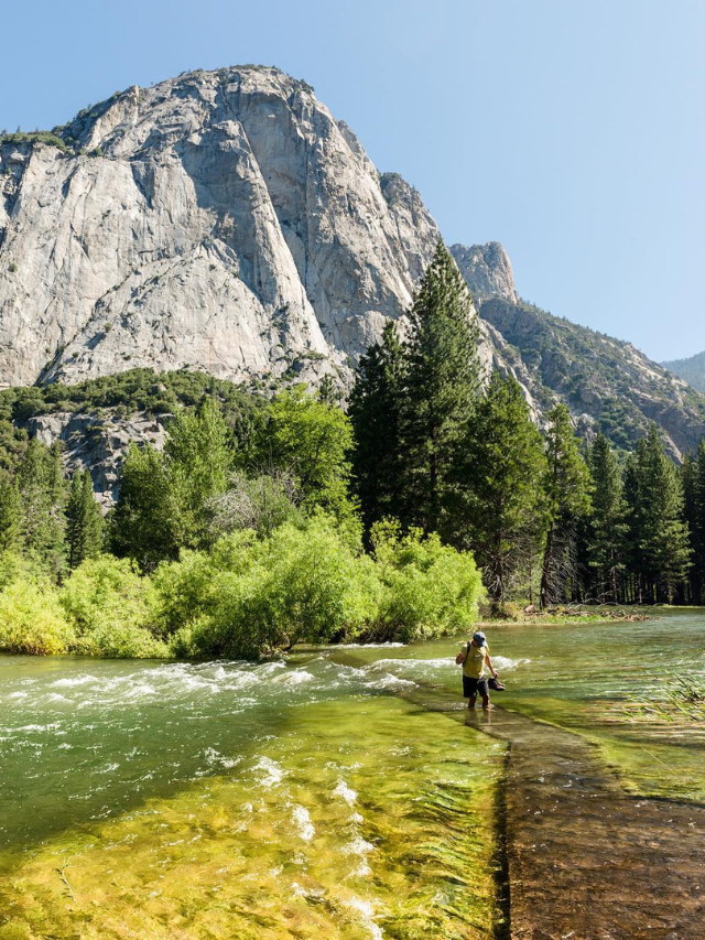 Zumwalt Meadow