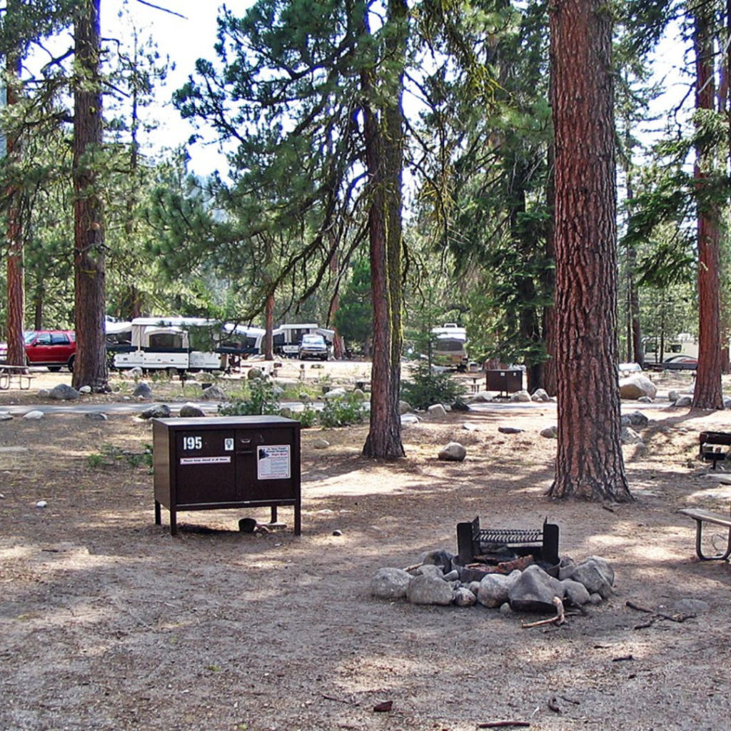 lodgepole campground sequoia