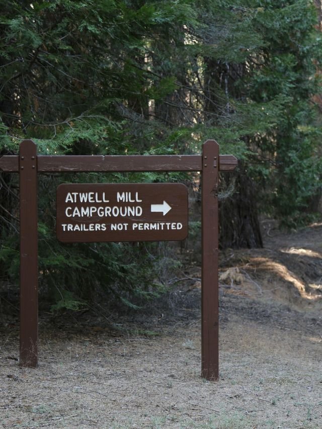 Best Camping Site in Sequoia National Park, Camping Site in Sequoia National Park, Camping Spots in Sequoia National Park, Camping Site in Sequoia, Sequoia National Park camping sites