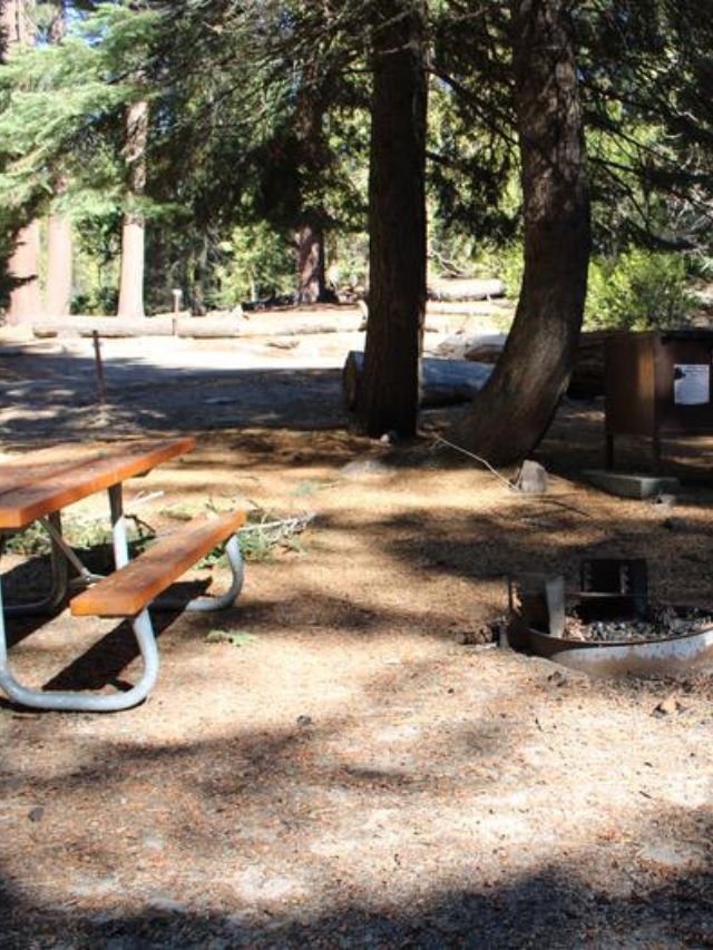 Best Camping Site in Sequoia National Park, Camping Site in Sequoia National Park, Camping Spots in Sequoia National Park, Camping Site in Sequoia, Sequoia National Park camping sites