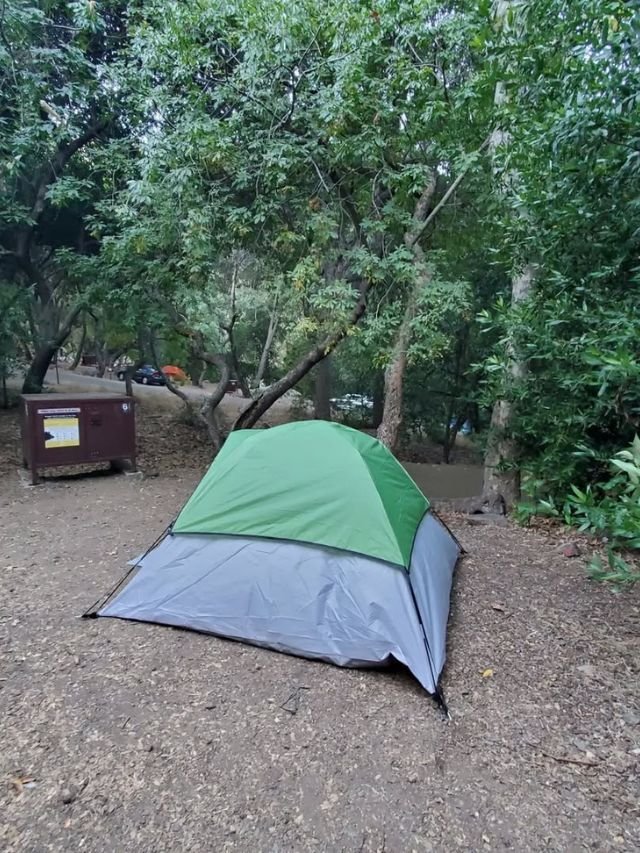 Best Camping Site in Sequoia National Park, Camping Site in Sequoia National Park, Camping Spots in Sequoia National Park, Camping Site in Sequoia, Sequoia National Park camping sites