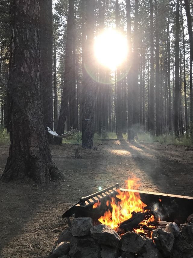 Best Camping Site in Sequoia National Park, Camping Site in Sequoia National Park, Camping Spots in Sequoia National Park, Camping Site in Sequoia, Sequoia National Park camping sites