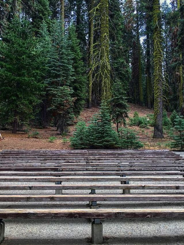 Best Camping Site in Sequoia National Park, Camping Site in Sequoia National Park, Camping Spots in Sequoia National Park, Camping Site in Sequoia, Sequoia National Park camping sites