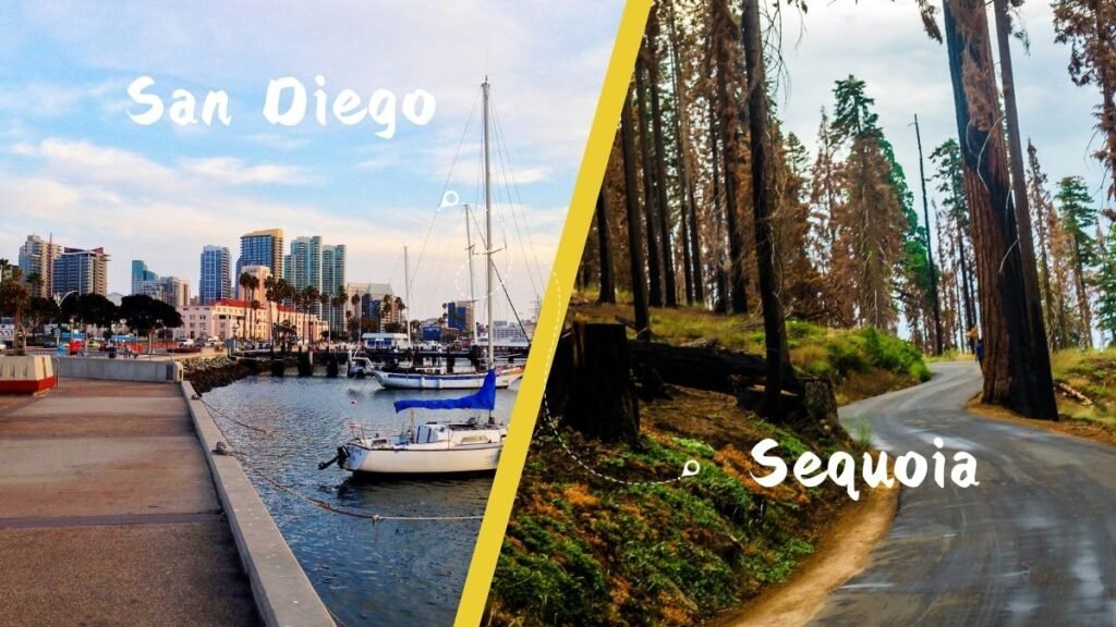 San Diego to Sequoia National Park, San Diego to Sequoia National Park by car, San Diego to Sequoia flights,