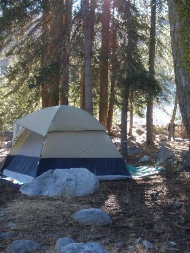 Best Camping Site in Sequoia National Park, Camping Site in Sequoia National Park, Camping Spots in Sequoia National Park, Camping Site in Sequoia, Sequoia National Park camping sites