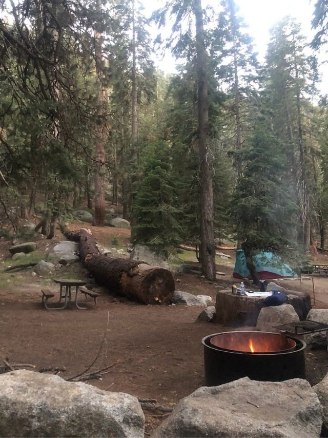 Best Camping Site in Sequoia National Park, Camping Site in Sequoia National Park, Camping Spots in Sequoia National Park, Camping Site in Sequoia, Sequoia National Park camping sites