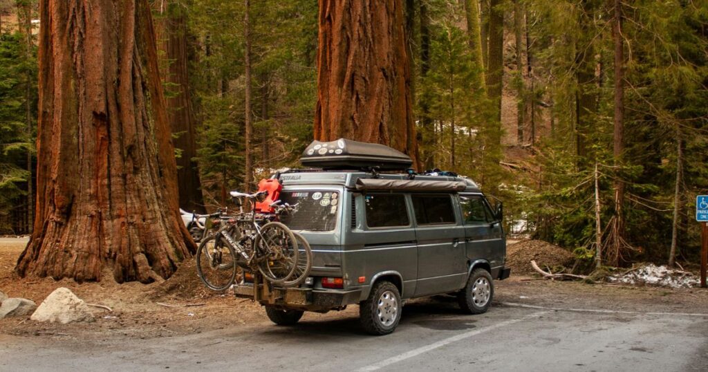 How to Travel from San Jose to Sequoia National Park