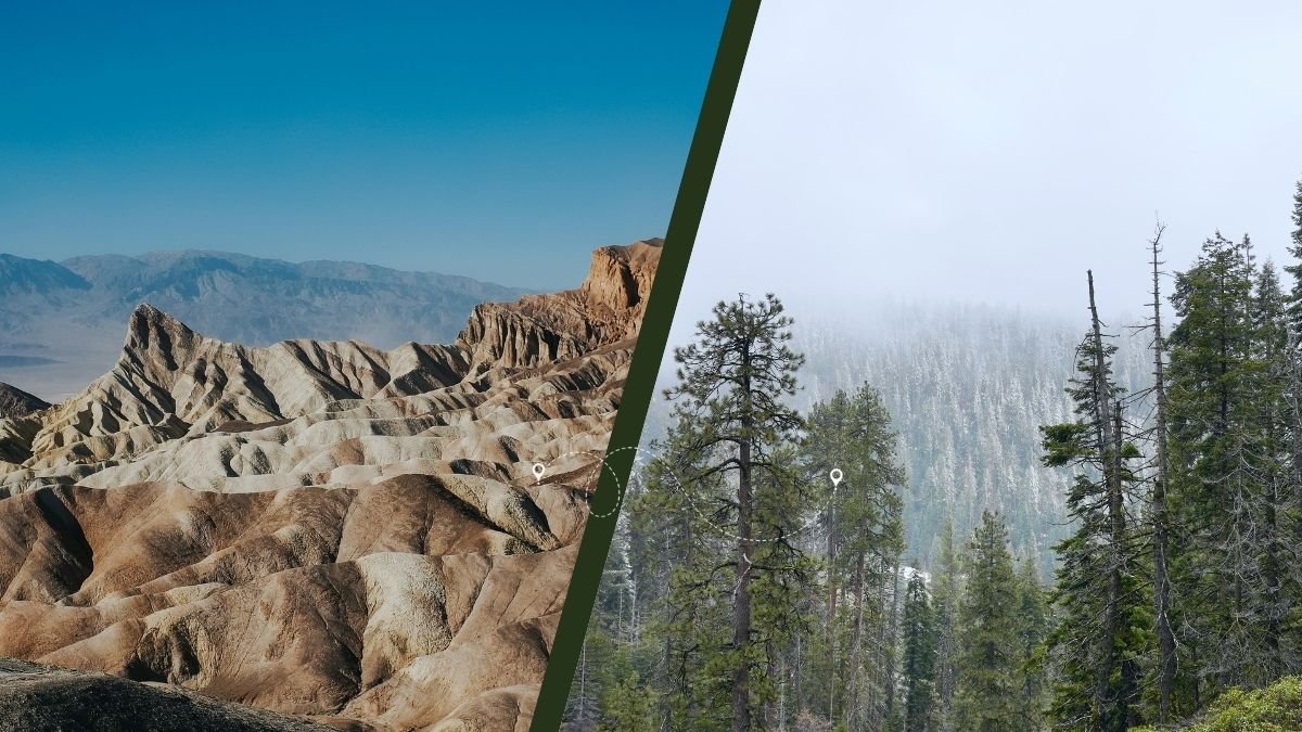 Death Valley to Sequoia National Park, Death Valley to Sequoia National Park by air, Death Valley to Sequoia National Park by train, Death Valley national park to Sequoia National Park, How to travel from Death Valley to Sequoia National park, Sequoia National Park Entrance Fees