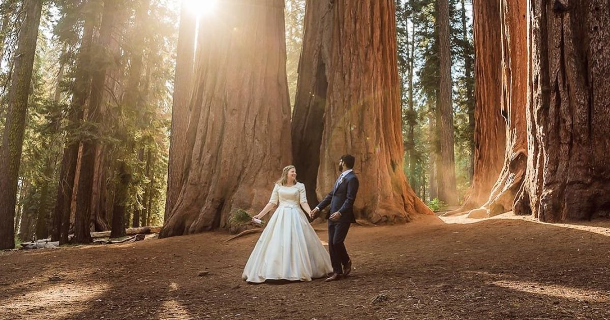 Things to Do in Sequoia National Park for Couples, Things to Do in Sequoia National Park for Couples, Sequoia National Parks things to do for couples, Things to Do in Sequoia National Park, Things to Do in Sequoia for lovers