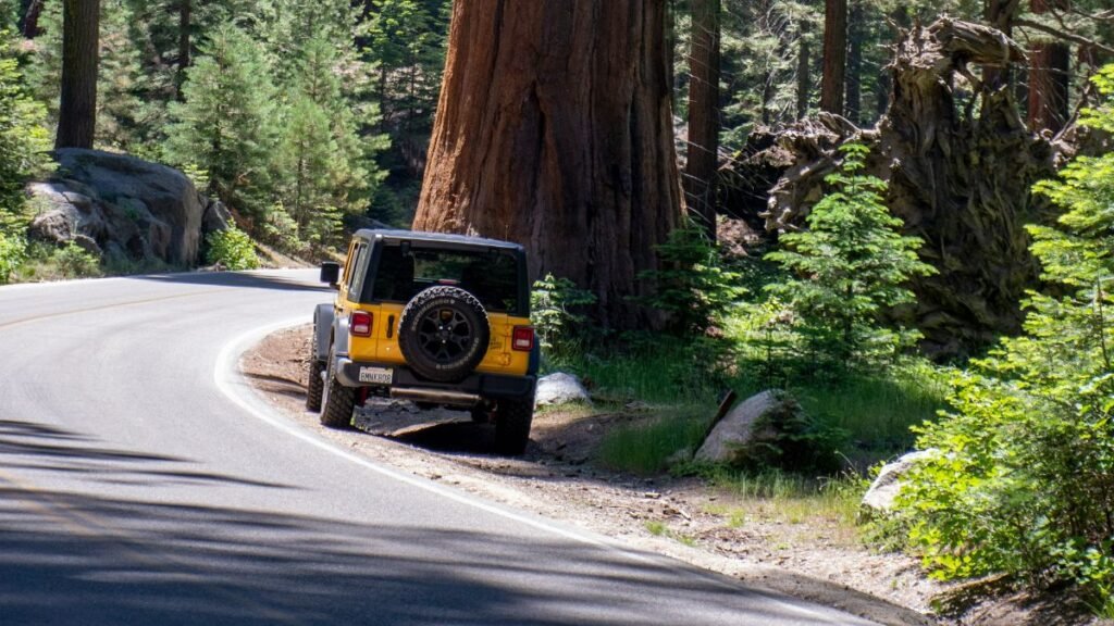 Sacramento to Sequoia National Park, Sacramento to Sequoia, How to reach sequoia National Park