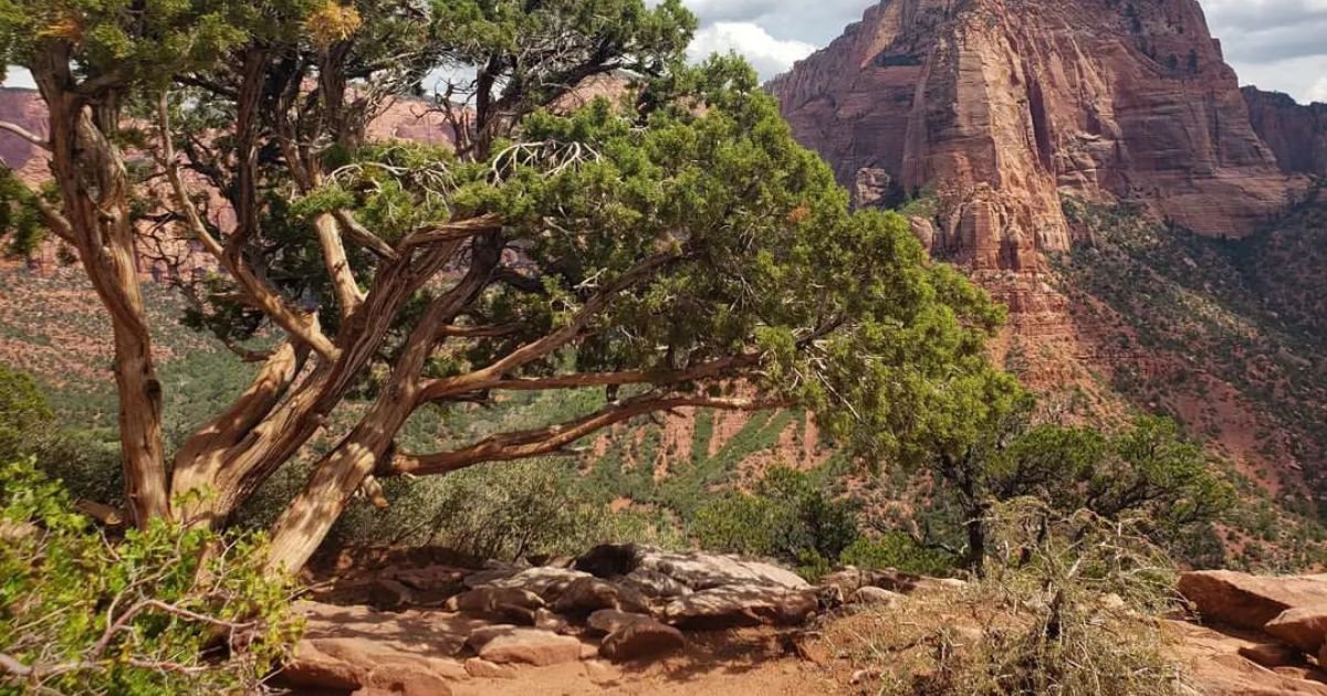 things do in Zion National Park, Hiking Trails in Zion National Park, Zion National Park Trails