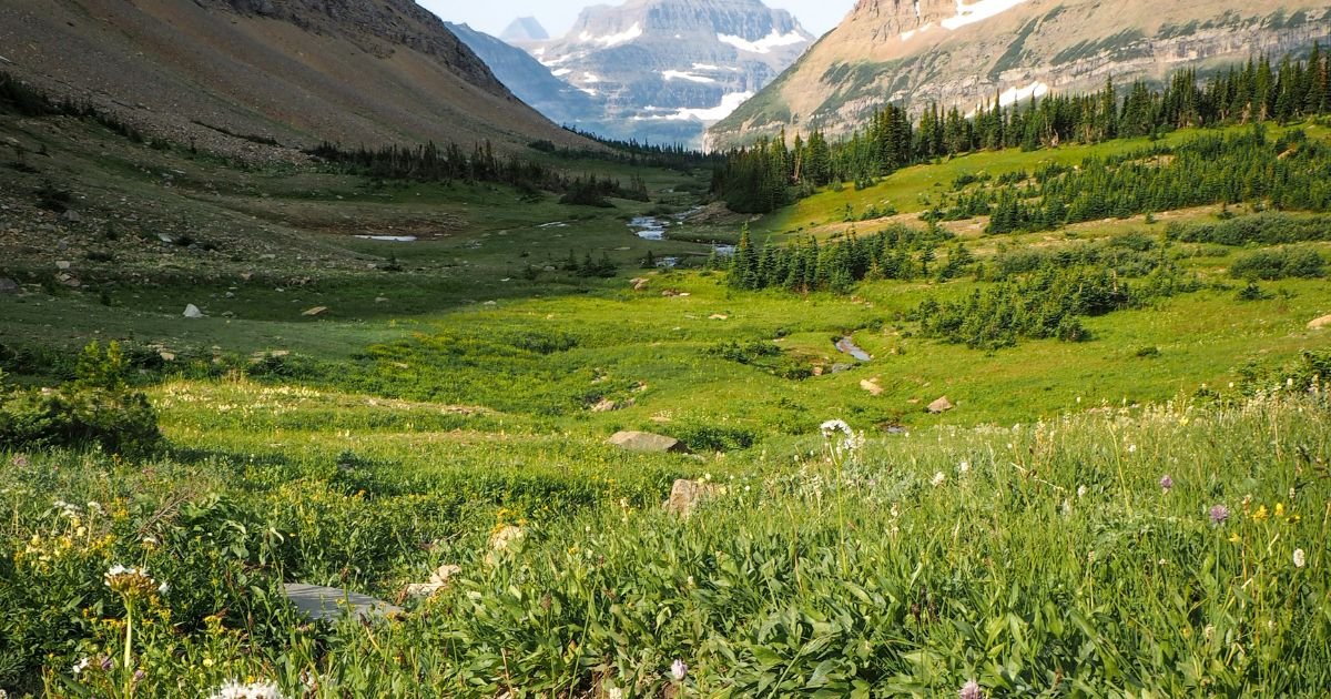glacier national park, things to do in glacier national park, glacier national park mistakes, Glacier national park activities