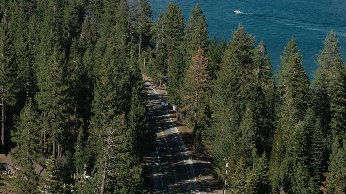 Sequoia National Park, Sequoia National Park road scene