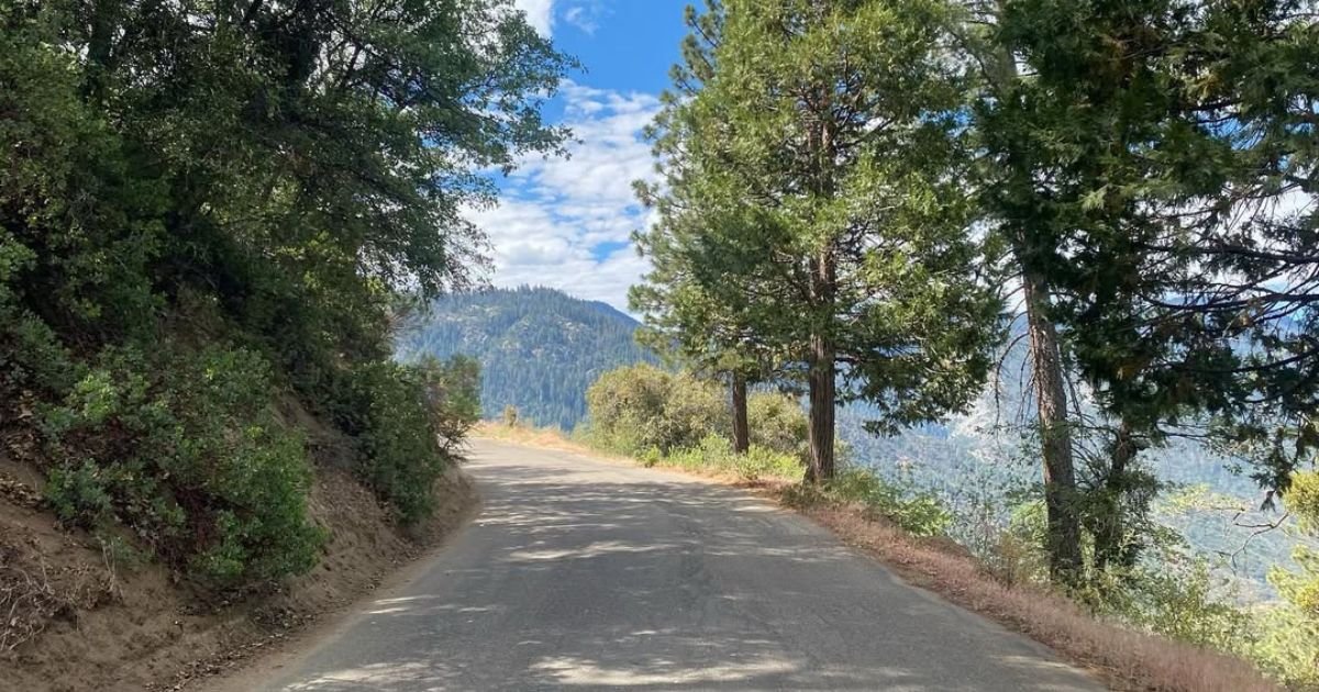 Sequoia National Park, Sequoia National Park road scene