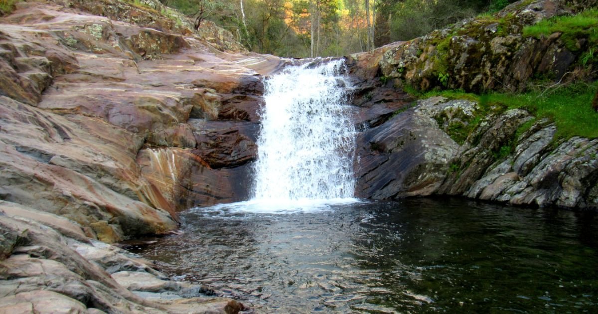 Sequoia National Park, things to do in Sequoia National Park, Sequoia National Park mistakes, Sequoia National Park activities