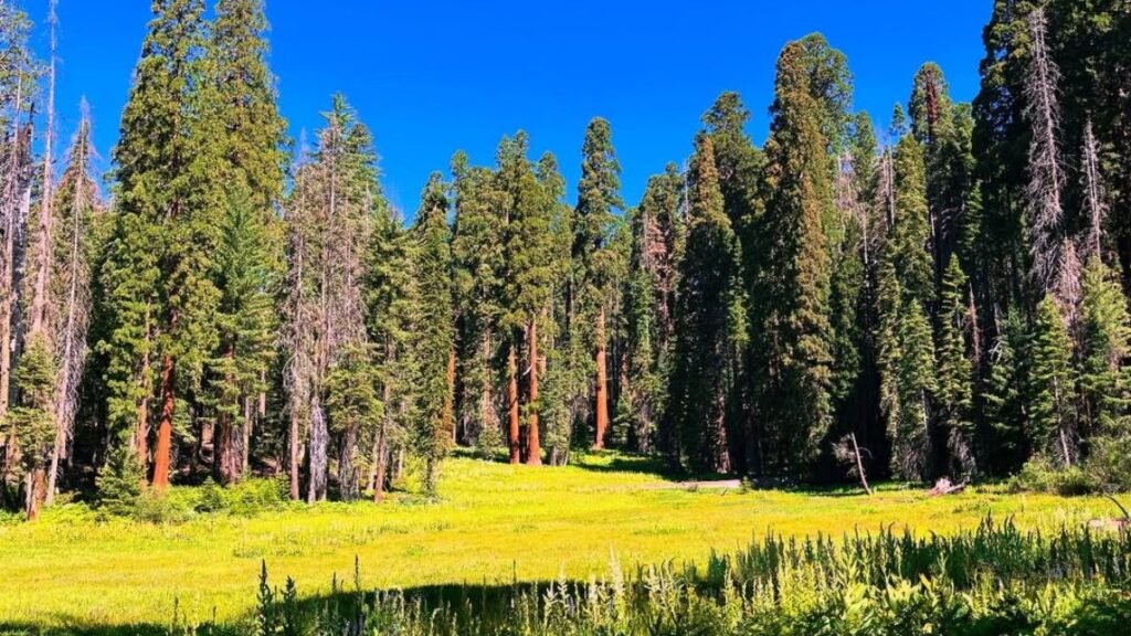 Crescent Meadow Loop, Crescent Meadow Trekking, Crescent Meadow trek