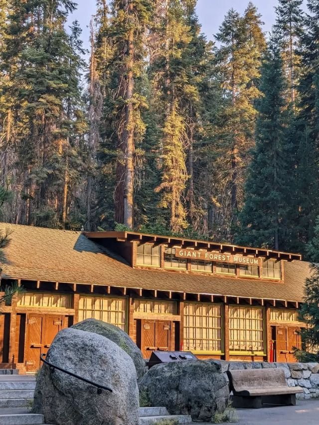 Giant Forest Museum building nestled among towering sequoia trees, welcoming visitors to the park.