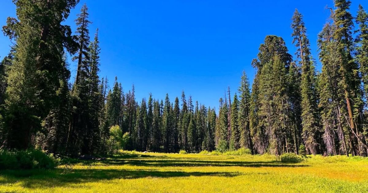 Crescent Meadow Loop, Crescent Meadow Trekking, Crescent Meadow trek