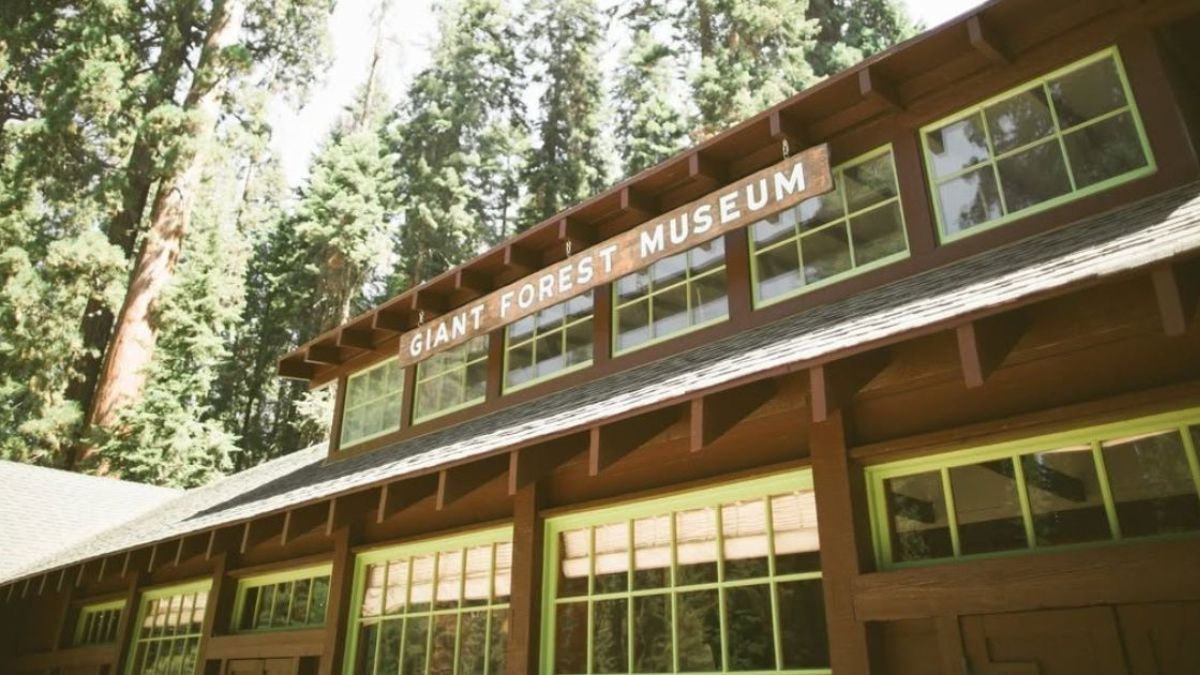Giant Forest Museum, Giant Forest Museum things to do, what to see in Giant Forest Museum, Giant Forest Museum Las Vegasl Ranger program in Giant Forest Museum